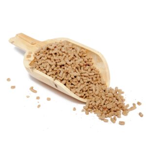 Herbal Digestive Support Pellets concept image with dried herbs on a clean neutral background