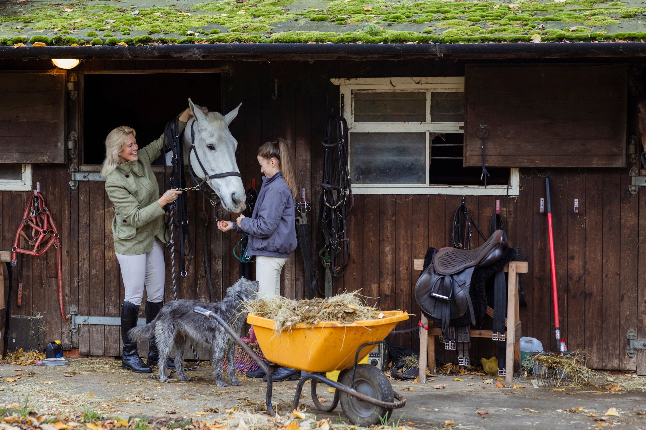 Horse owner and child bonding with a horse at a stable
